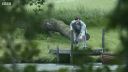 FATHER_BROWN_-_S01E02_mp4_20251003_110158_653.jpg