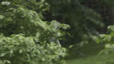 FATHER_BROWN_-_S01E03_mp4_20251003_123139_215.jpg