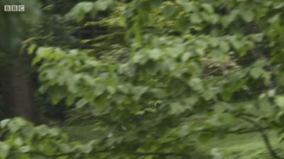FATHER_BROWN_-_S01E03_mp4_20251003_123140_173.jpg