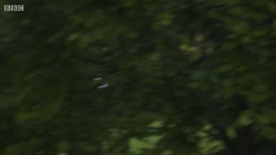 FATHER_BROWN_-_S01E03_mp4_20251003_123142_132.jpg