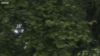 FATHER_BROWN_-_S01E03_mp4_20251003_123142_613.jpg