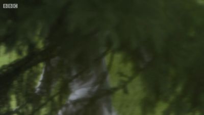 FATHER_BROWN_-_S01E03_mp4_20251003_123143_332.jpg