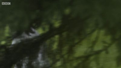 FATHER_BROWN_-_S01E03_mp4_20251003_123143_574.jpg