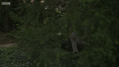 FATHER_BROWN_-_S01E03_mp4_20251003_123151_614.jpg