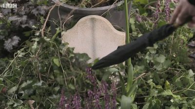FATHER_BROWN_-_S01E03_mp4_20251003_124557_568.jpg