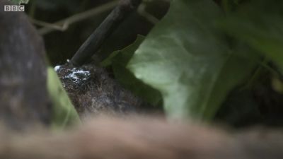 FATHER_BROWN_-_S01E03_mp4_20251003_124612_967.jpg