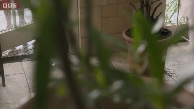FATHER_BROWN_-_S01E03_mp4_20251003_124756_425.jpg