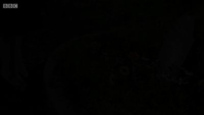 FATHER_BROWN_-_S01E03_mp4_20251003_131502_445.jpg