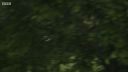 FATHER_BROWN_-_S01E03_mp4_20251003_123142_132.jpg