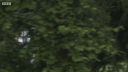 FATHER_BROWN_-_S01E03_mp4_20251003_123142_613.jpg