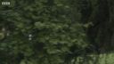 FATHER_BROWN_-_S01E03_mp4_20251003_123142_853.jpg