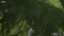 FATHER_BROWN_-_S01E03_mp4_20251003_123143_092.jpg