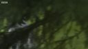 FATHER_BROWN_-_S01E03_mp4_20251003_123143_574.jpg