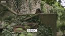 FATHER_BROWN_-_S01E03_mp4_20251003_123154_375.jpg