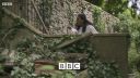 FATHER_BROWN_-_S01E03_mp4_20251003_123154_616.jpg