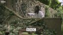 FATHER_BROWN_-_S01E03_mp4_20251003_123154_894.jpg