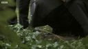 FATHER_BROWN_-_S01E03_mp4_20251003_124610_567.jpg