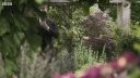 FATHER_BROWN_-_S01E03_mp4_20251003_124736_607.jpg