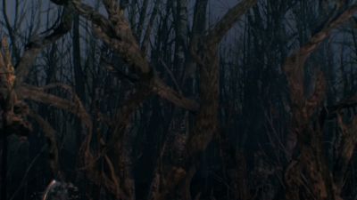 Once_Upon_A_Time_-_S01E02_28186929.jpg