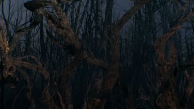 Once_Upon_A_Time_-_S01E02_28187029.jpg