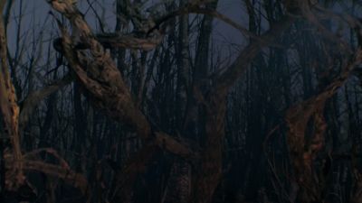 Once_Upon_A_Time_-_S01E02_28187229.jpg