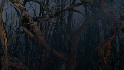 Once_Upon_A_Time_-_S01E02_28187329.jpg