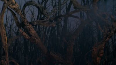 Once_Upon_A_Time_-_S01E02_28187429.jpg