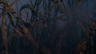Once_Upon_A_Time_-_S01E02_28187529.jpg