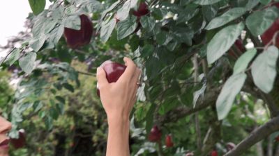 Once_Upon_A_Time_-_S01E02_28216929.jpg