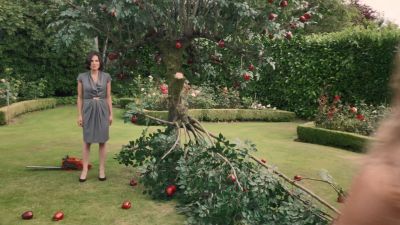 Once_Upon_A_Time_-_S01E02_28424629.jpg