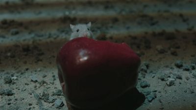 Once_Upon_A_Time_-_S01E02_28440729.jpg