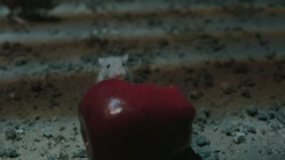 Once_Upon_A_Time_-_S01E02_28441129.jpg