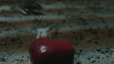 Once_Upon_A_Time_-_S01E02_28441229.jpg