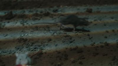 Once_Upon_A_Time_-_S01E02_28441529.jpg