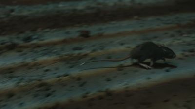 Once_Upon_A_Time_-_S01E02_28441729.jpg