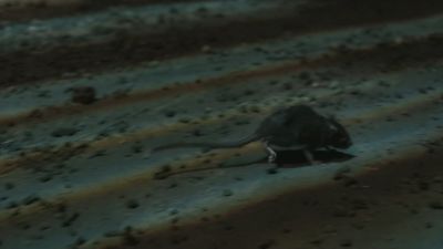 Once_Upon_A_Time_-_S01E02_28441829.jpg