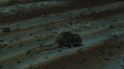 Once_Upon_A_Time_-_S01E02_28441929.jpg