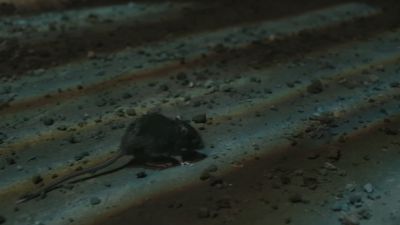 Once_Upon_A_Time_-_S01E02_28442029.jpg