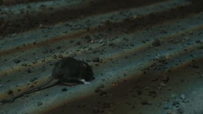 Once_Upon_A_Time_-_S01E02_28442129.jpg