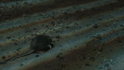 Once_Upon_A_Time_-_S01E02_28442229.jpg
