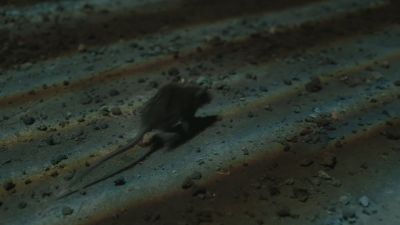 Once_Upon_A_Time_-_S01E02_28442329.jpg