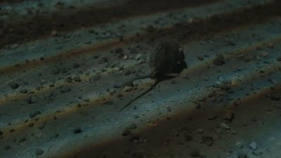 Once_Upon_A_Time_-_S01E02_28442429.jpg