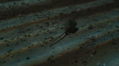 Once_Upon_A_Time_-_S01E02_28442529.jpg