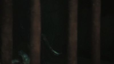 Once_Upon_A_Time_-_S01E02_28442629.jpg