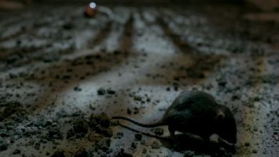 Once_Upon_A_Time_-_S01E02_28444229.jpg