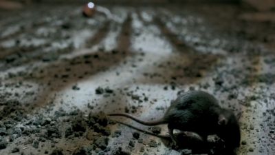 Once_Upon_A_Time_-_S01E02_28444329.jpg
