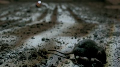 Once_Upon_A_Time_-_S01E02_28444429.jpg