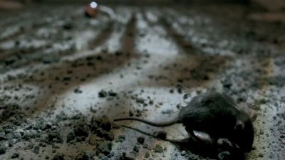 Once_Upon_A_Time_-_S01E02_28444529.jpg