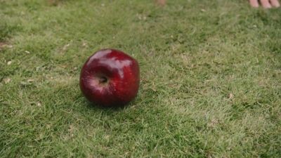 Once_Upon_A_Time_-_S01E02_28528129.jpg