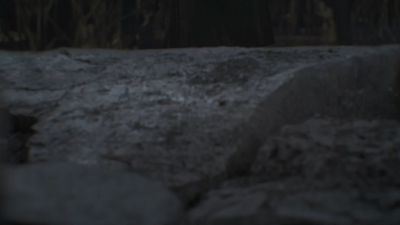 Once_Upon_A_Time_-_S01E02_28754329.jpg